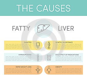 Causes of fatty liver photo