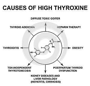 Causes of high thyroxine. Thyroid hormone thyroxine chemical molecular formula. Infographics. Vector illustration on