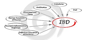 Causes of IBD photo