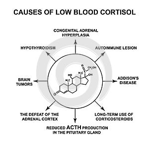 Causes of low blood cortisol. The stress hormone cortisol is a chemical molecular formula. Infographics. Vector