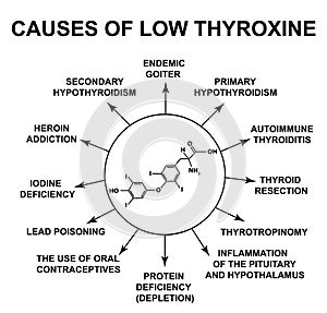 Causes of low thyroxine. Thyroid hormone thyroxine chemical molecular formula. Infographics. Vector illustration on