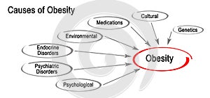 Causes of Obesity