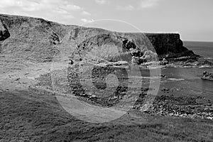 The Causeway Coast is famous for an awful lot of things.