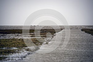 High tide causeway to Mando Island in Denmark. photo