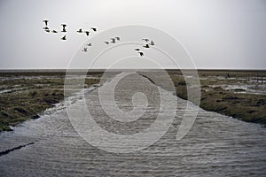 High tide causeway to Mando Island in Denmark. photo