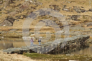 Causeway walkers.