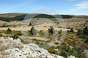 Causse de Sauveterre