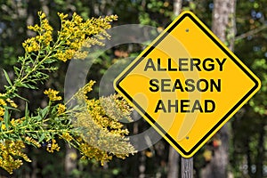 Caution - Allergy Season Ahead