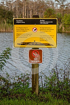 Caution: alligators no swimming sign