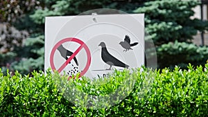 Caution Bird Feeding Prohibited Sign Mounted in City Park
