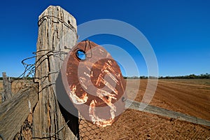 Caution Cattle sign