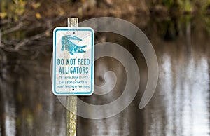 Caution Do Not Feed Alligators Warning sign in the Okefenokee Swamp