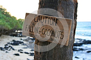 Caution falling coconuts
