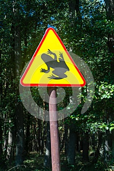 Caution Frog Sign in the forest