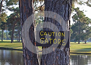 Caution Gators handwritten sign on a tree