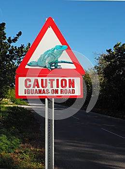 Caution Iguanas on Road warning sign
