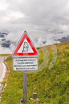 Caution marmots traffic sign on an Alpine road