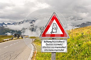 Caution marmots traffic sign on an Alpine road