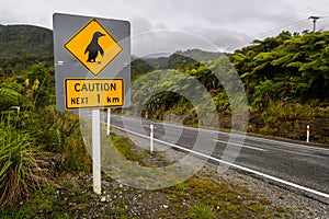 Caution Penguins sign in NZ