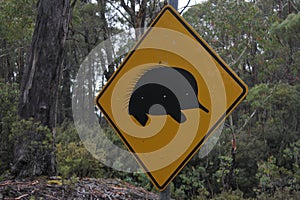 Caution road sign of Echidna Tasmania Australia