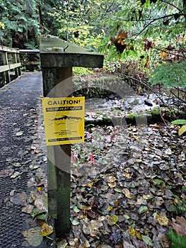 Caution! Salmon at work sign at the little bridge over the creek. Hoy Creek and Scott Creek Trail, Coquitlam, BC, Canada