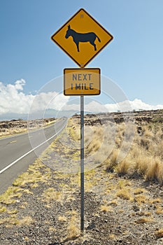 Caution sign, feral donkeys ahead