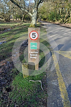 Caution speed bump sign