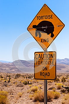 Caution, Tortoise Crossing