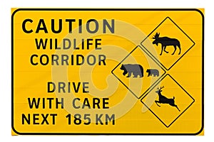 Caution wildlife corridor road sign