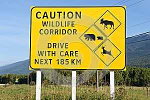 Caution wildlife corridor road sign