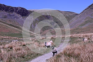 Cautley Spout waterfall, Howgill Fells, Cumbria