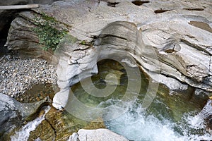 View of Cavaglia Glacier garden photo