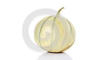 Cavaillon melon, close-up