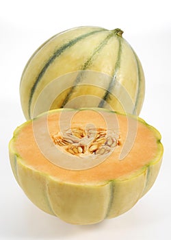 Cavaillon Melon, cucumis melo, Fruits on White Background