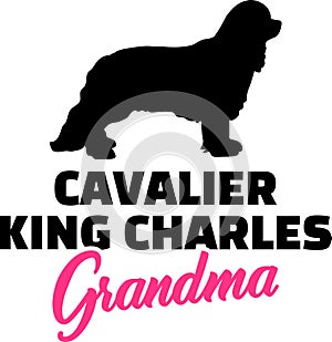 Cavalier King Charles Grandma with silhouette