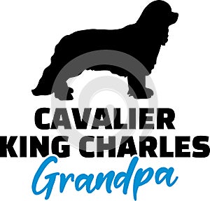 Cavalier King Charles Grandpa with silhouette