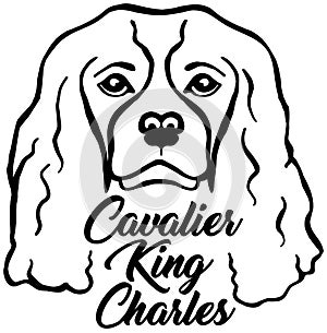 Cavalier King Charles head with name