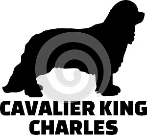 Cavalier King Charles silhouette name