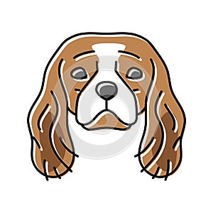 cavalier king charles spaniel dog puppy pet color icon vector illustration