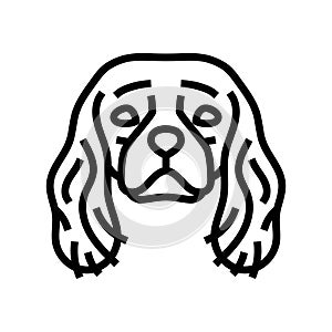 cavalier king charles spaniel dog puppy pet line icon vector illustration