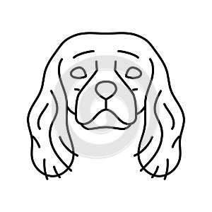 cavalier king charles spaniel dog puppy pet line icon vector illustration