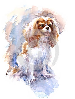 Cavalier King Charles Spaniel Watercolor Dog Breed Animal Illustration Hand Painted