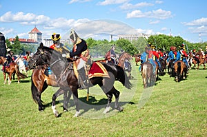 Cavalry attack with napoleon