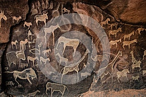 Cave Art photo