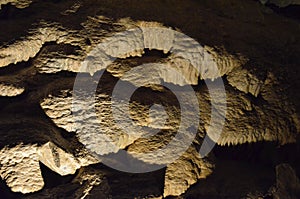 Cave Bacon in Aillwee Cave in Ireland