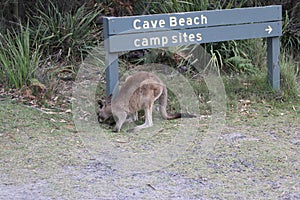 Cave beach at Booderee National Park