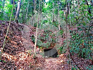 Cave at Bukit Timah Hill photo