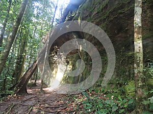 Cave called Palace Of Rooster Mountain located in Presidente Figueiredo, in the Amazon region, near the Iracema Waterfall. photo