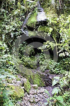 Cave in Cloud Forest   843147