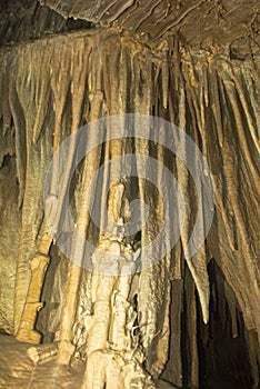 Cave Column from Lehman Cave